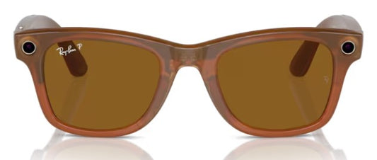 Ray-Ban Meta Wayfarer Sunglasses