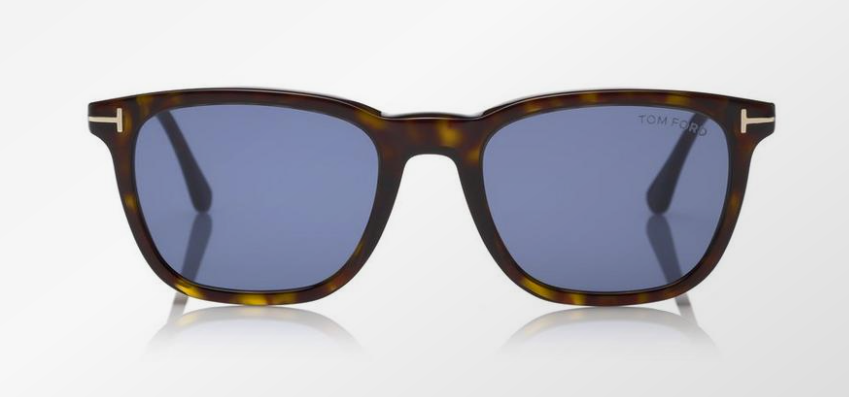 Tom Ford Arnaud Polarized Sunglasses