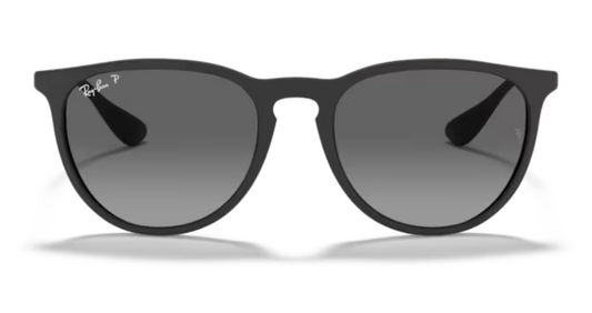 Ray Ban Erika Polarized Sunglasses