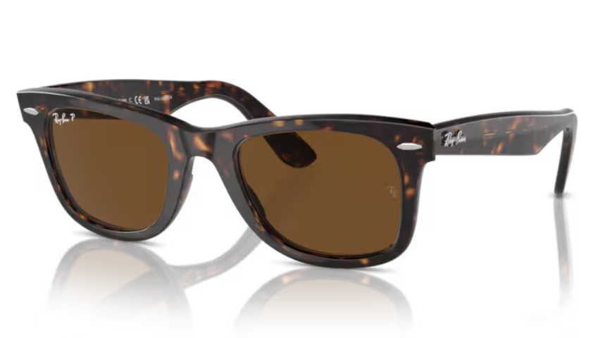 Ray Ban Wayfarer Polarized Sunglasses