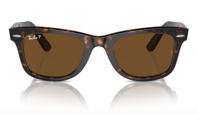 Ray Ban Wayfarer Polarized Sunglasses