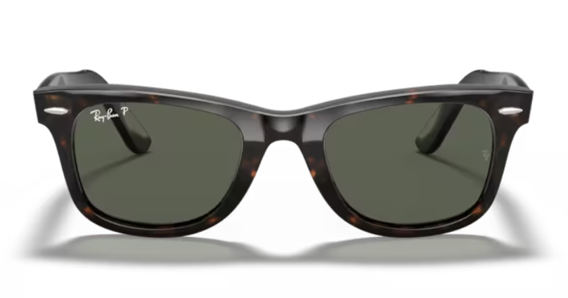 Ray Ban Wayfarer Polarized Sunglasses