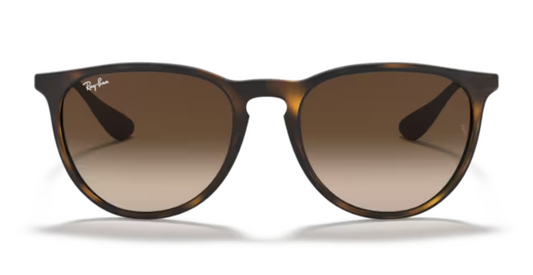 Ray Ban Erika Non-Polarized Sunglasses